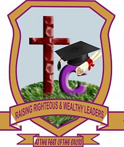 Theodora college logo